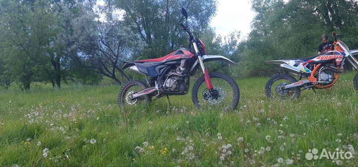 Gr 2 300 pro