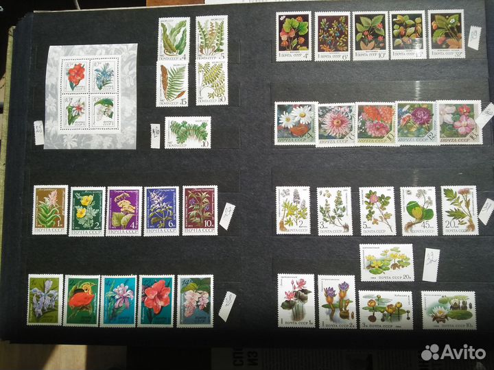 Почтовые марки,Флора 3
