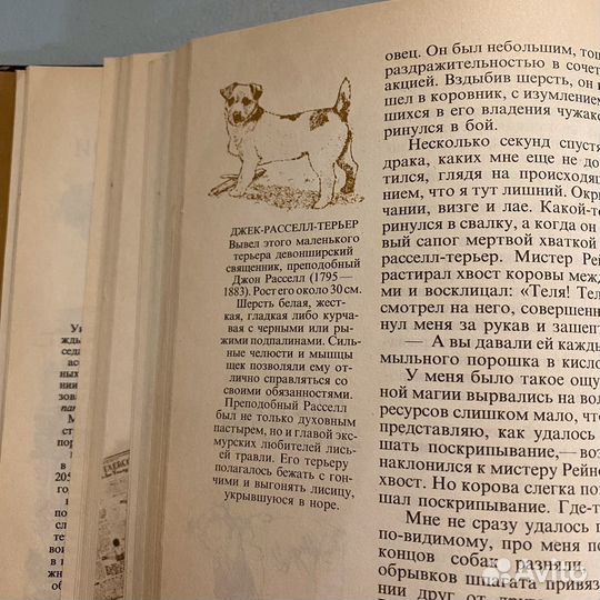 Хэрриот из воспоминаний сельского ветеринара