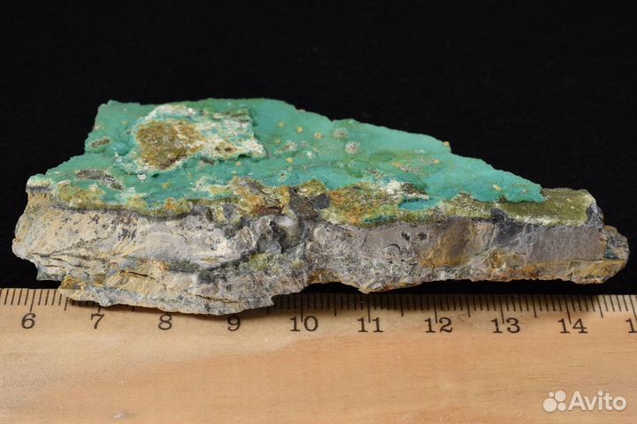 Бирюза и вавеллит на сланце. Лот №1021