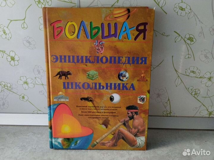 Большая энциклопедия школьника