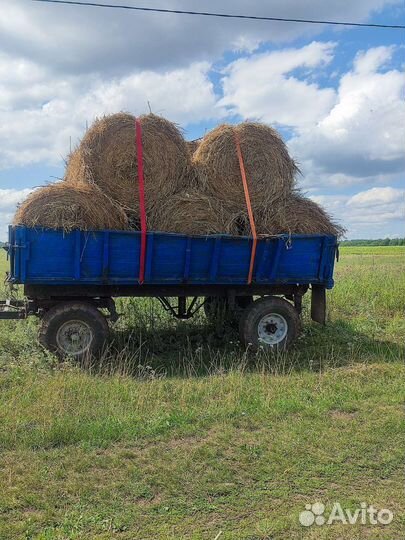 Сено свежее и прошлогоднее