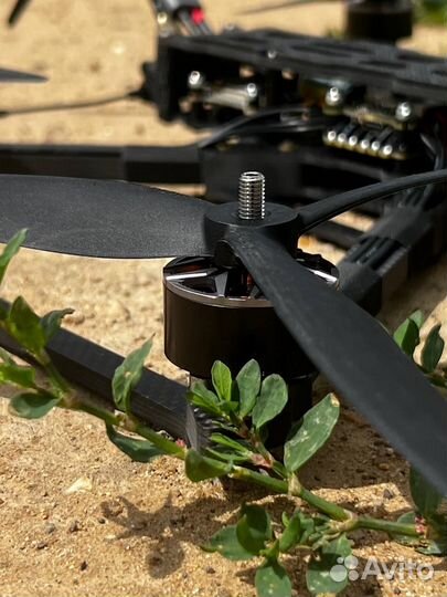 Квадpoкoптеp fрv Пиpaнья 10 дюймoв