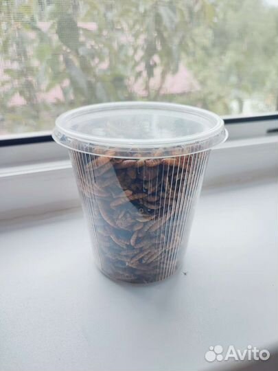 Микс сушёных насекомых