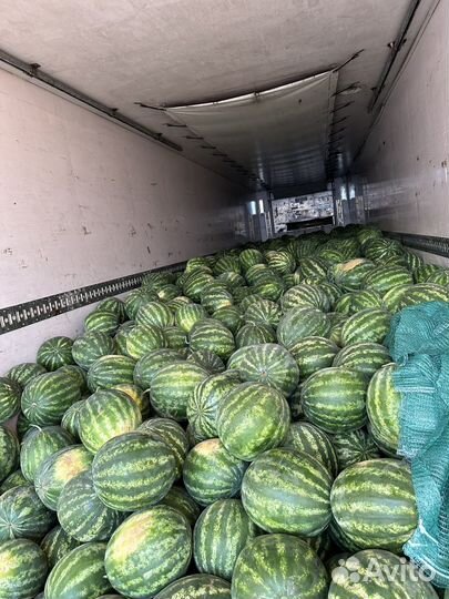 Арбуз оптом