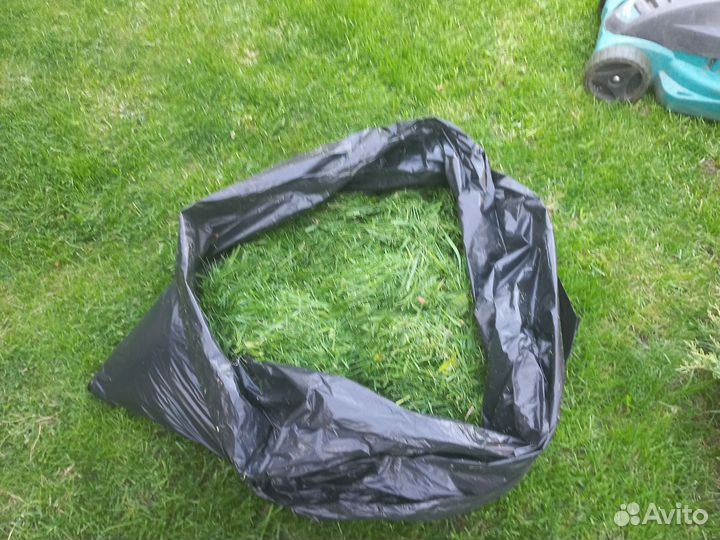 Трава для животных/птиц