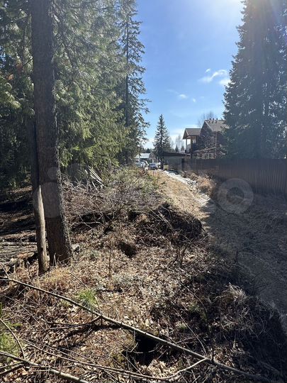 Участок 20 сот. (ИЖС)