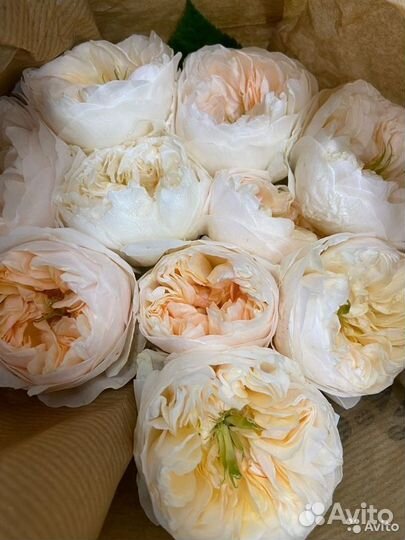 Пионовидная роза цветы букет