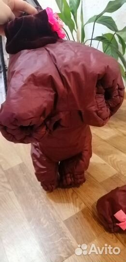 Одежда для собак