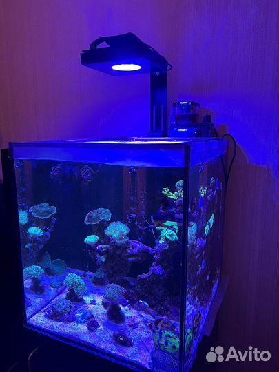 Обслуживание аквариумов