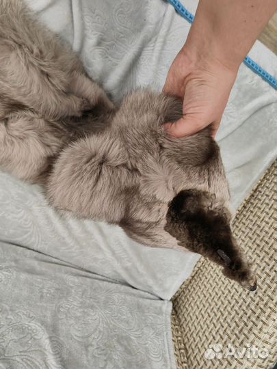 Шкурка песца чулок