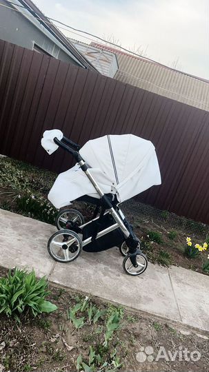 Коляска адамекс шанталь 2 в 1
