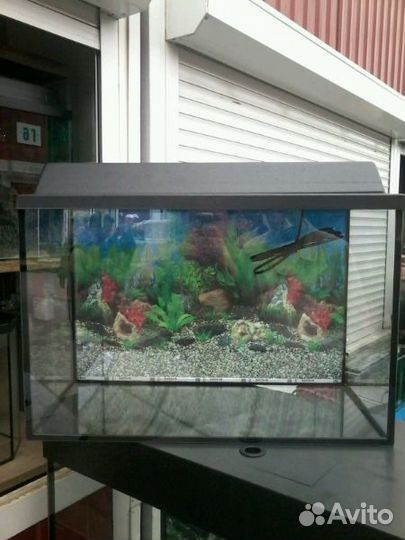 Аквариум