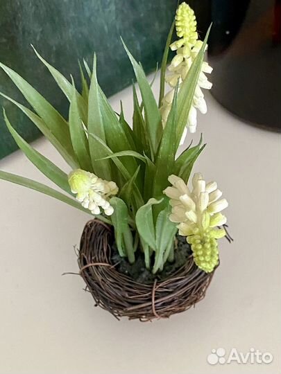 Цветы первоцветы реалистичные мускари