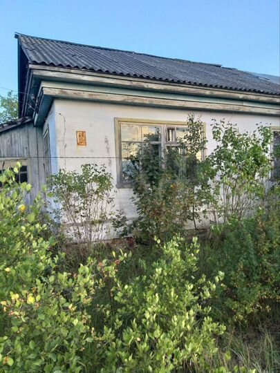 Дом 55 м² на участке 20 сот.