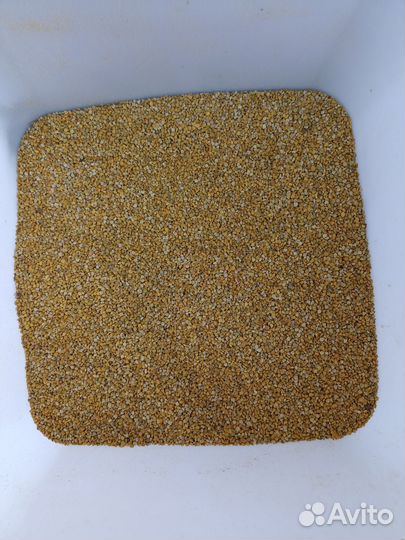 Пыльца пчелиная