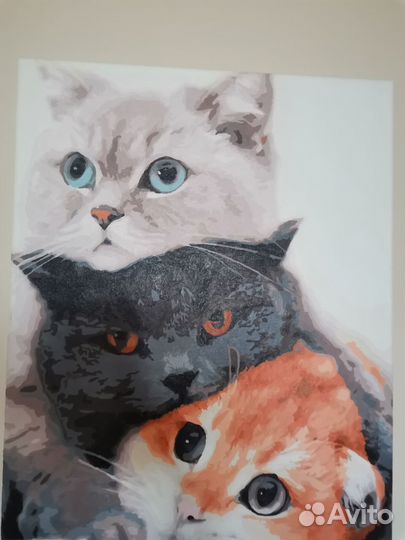 Картина по номерам Котики трио (40x50)