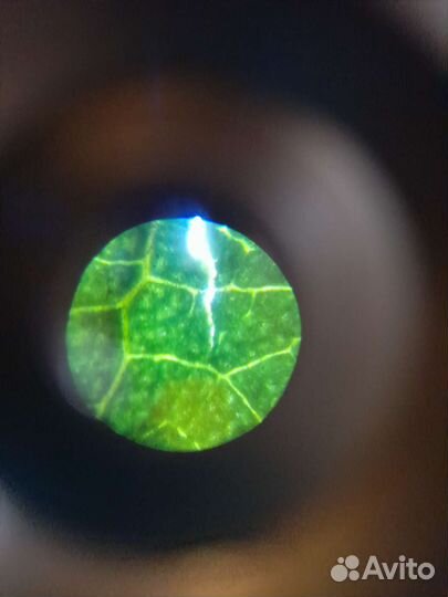 Игрушка микроскоп