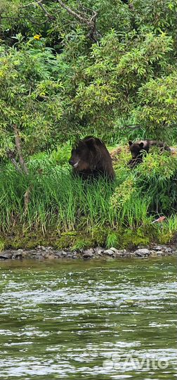 Сплав с рыбалкой на Камчатке