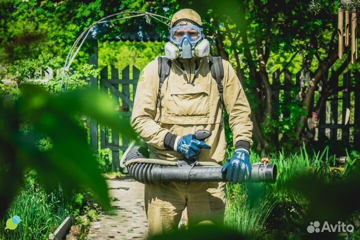 Клопов тараканов клещей комаров борщевика плесени