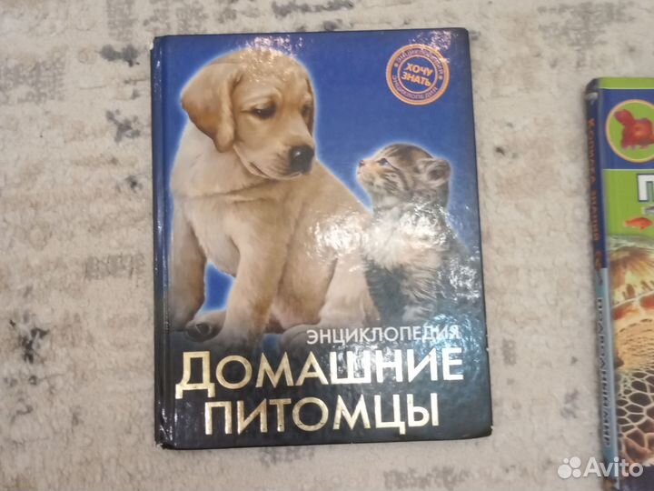 Журнал и книга