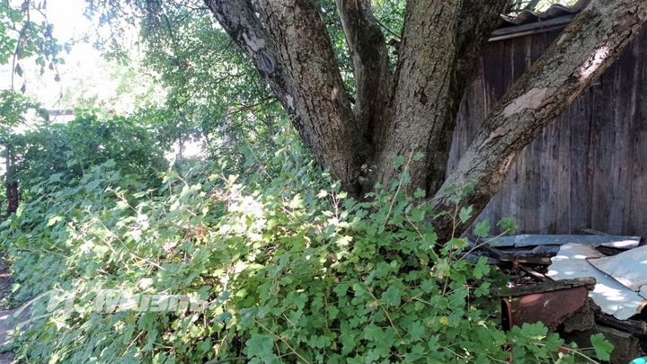 Дом 44,6 м² на участке 2,7 сот.