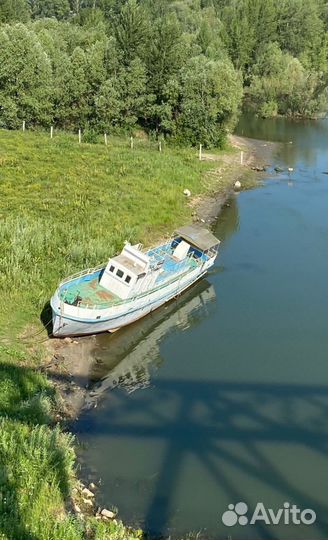 Продам Костромич