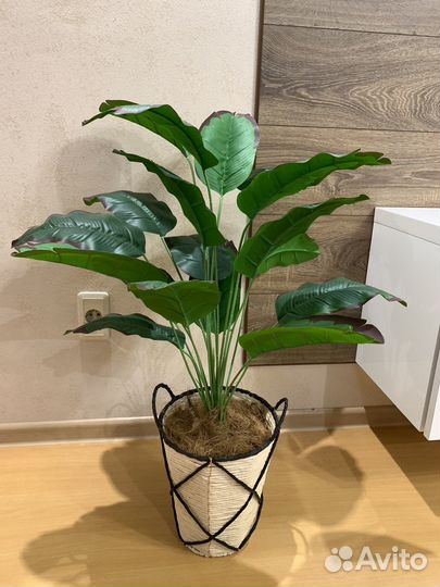 Стрелиция искусственная (банановая пальма)