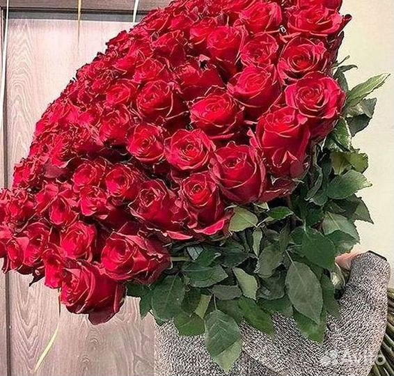 Высокие розы Гигантские розы Доставка цветов