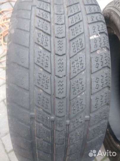 Nexen Euro-Win 550 205/55 R16