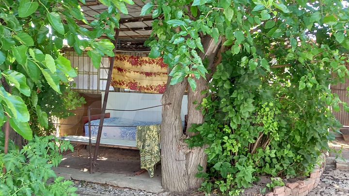 Дом 57 м² на участке 20 сот.