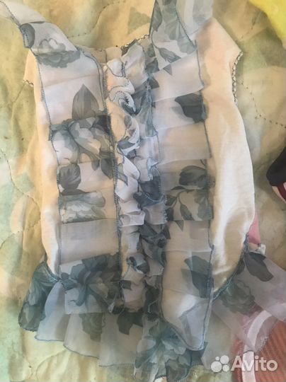 Одежда для собак