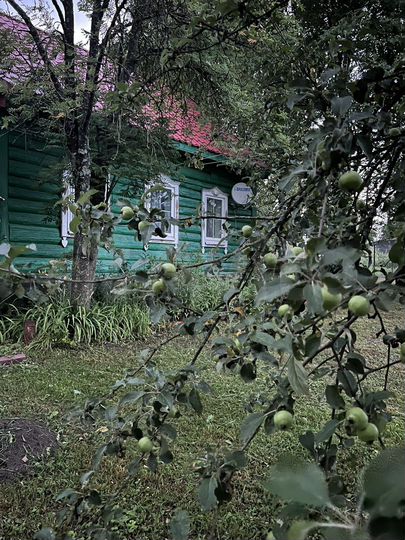 Дом 57 м² на участке 22 сот.