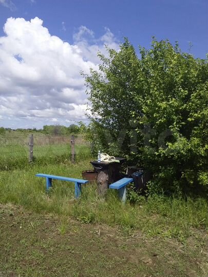 Участок 10 сот. (СНТ, ДНП)