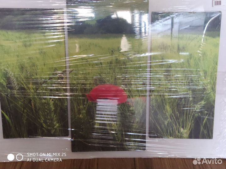 Картина триптих 120 x 60