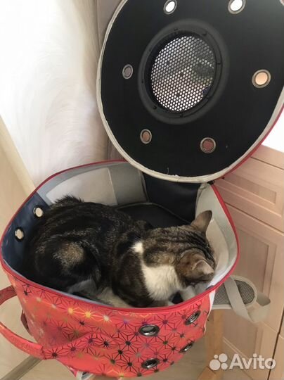 Переноска для животных