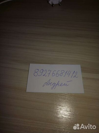 Овцы бараны