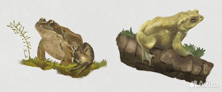 Художник иллюстратор