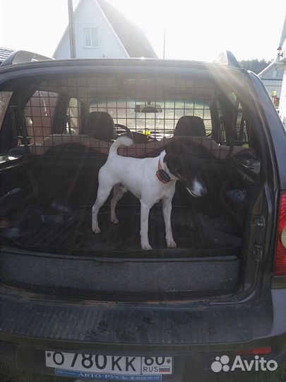 Полка-сетка для собак нива шевроле