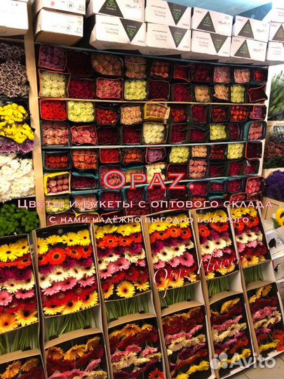 Гвоздика опт розница 25шт 50шт 100шт 200шт 500шт