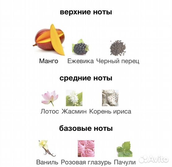 Mango Skin vilhelm Parfumerie