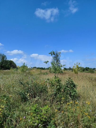 Участок 29 сот. (ИЖС)