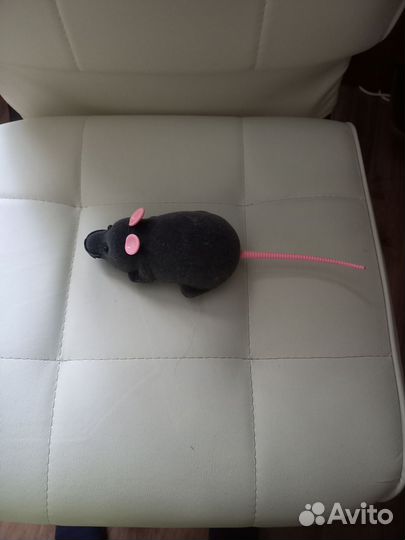 Мышка на пульте