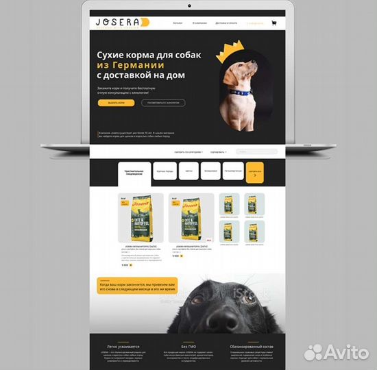 Web дизайнер