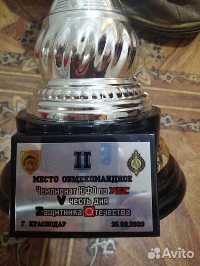 Смешанные единоборства