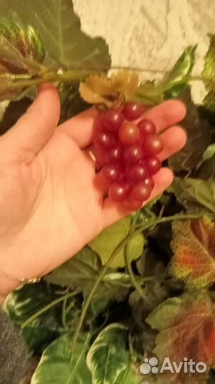 Тюльпаны+корзинка+виноград +лоза