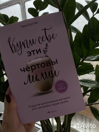 Книга Купи себе эти чертовы лилии