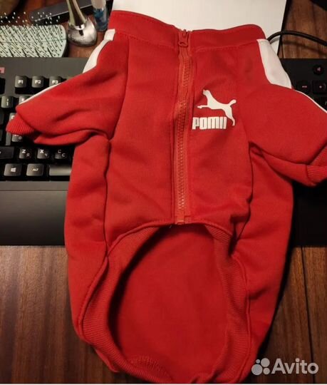 Толстовка для собак, кошек