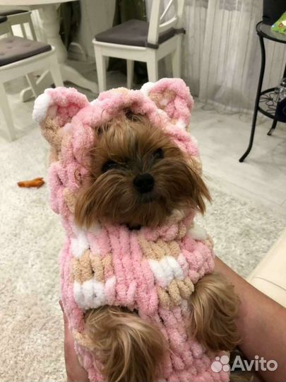 Одежда для маленьких собак или кошек (marshmallow)