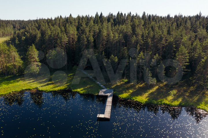 Участок 11 сот. (СНТ, ДНП)